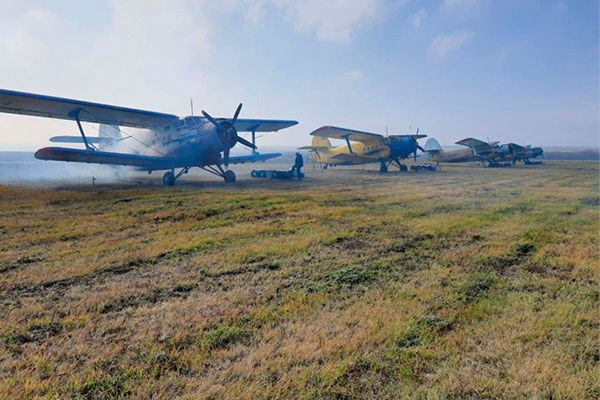 Разбрасываются приманки с вакциной от бешенства.