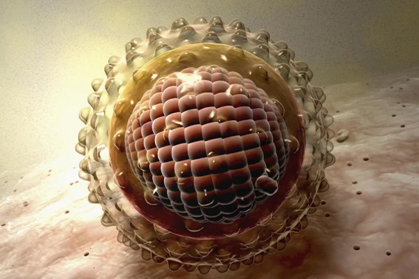 Внимание! ЯЩУР! 