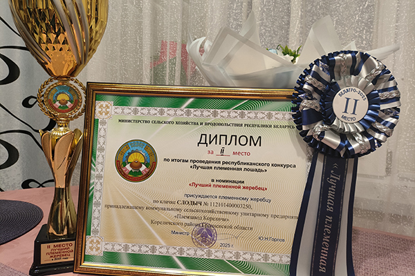 Жеребец по кличке Слодыч занял второе место! 